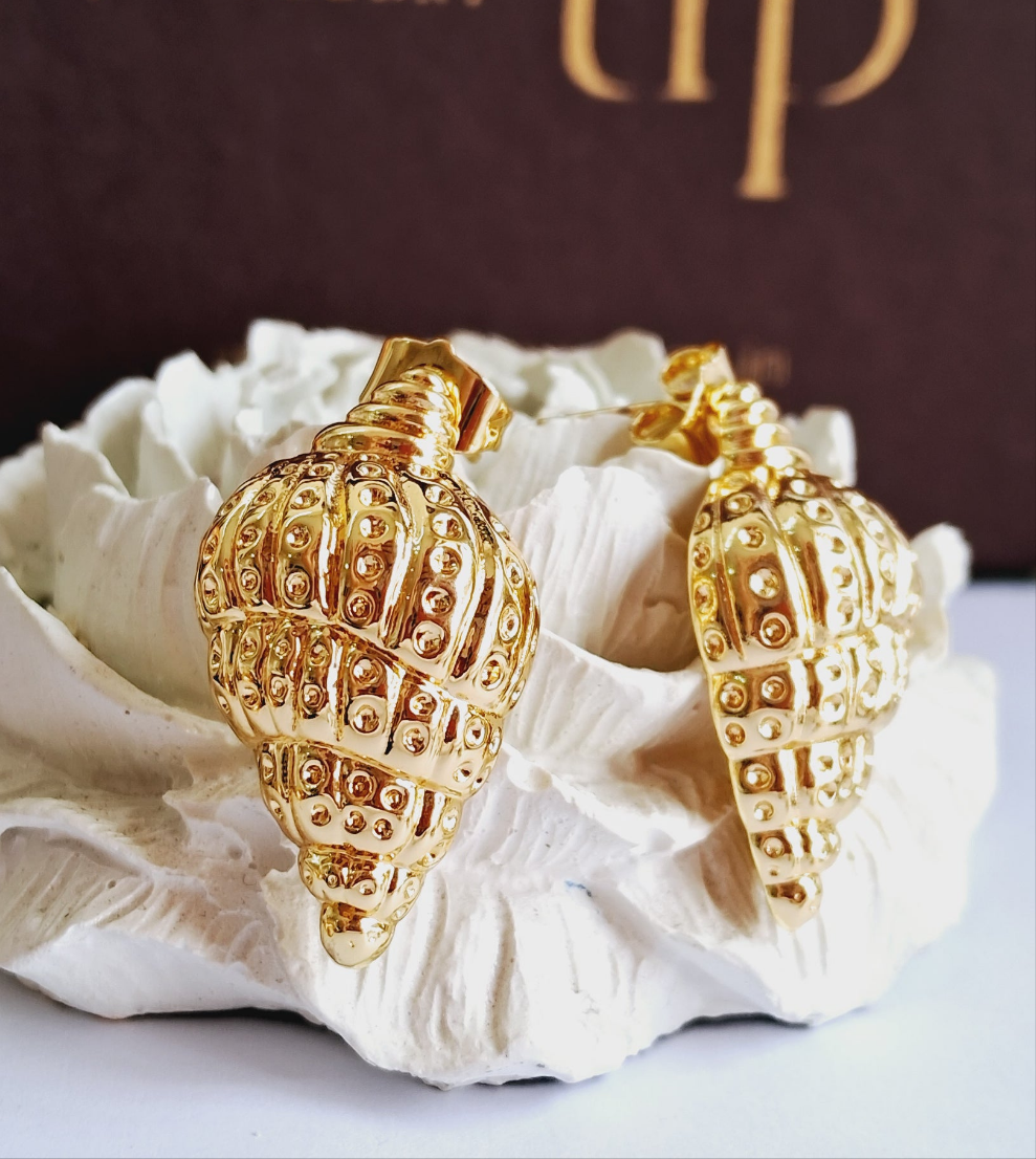 Conch Earrings-Step - Up