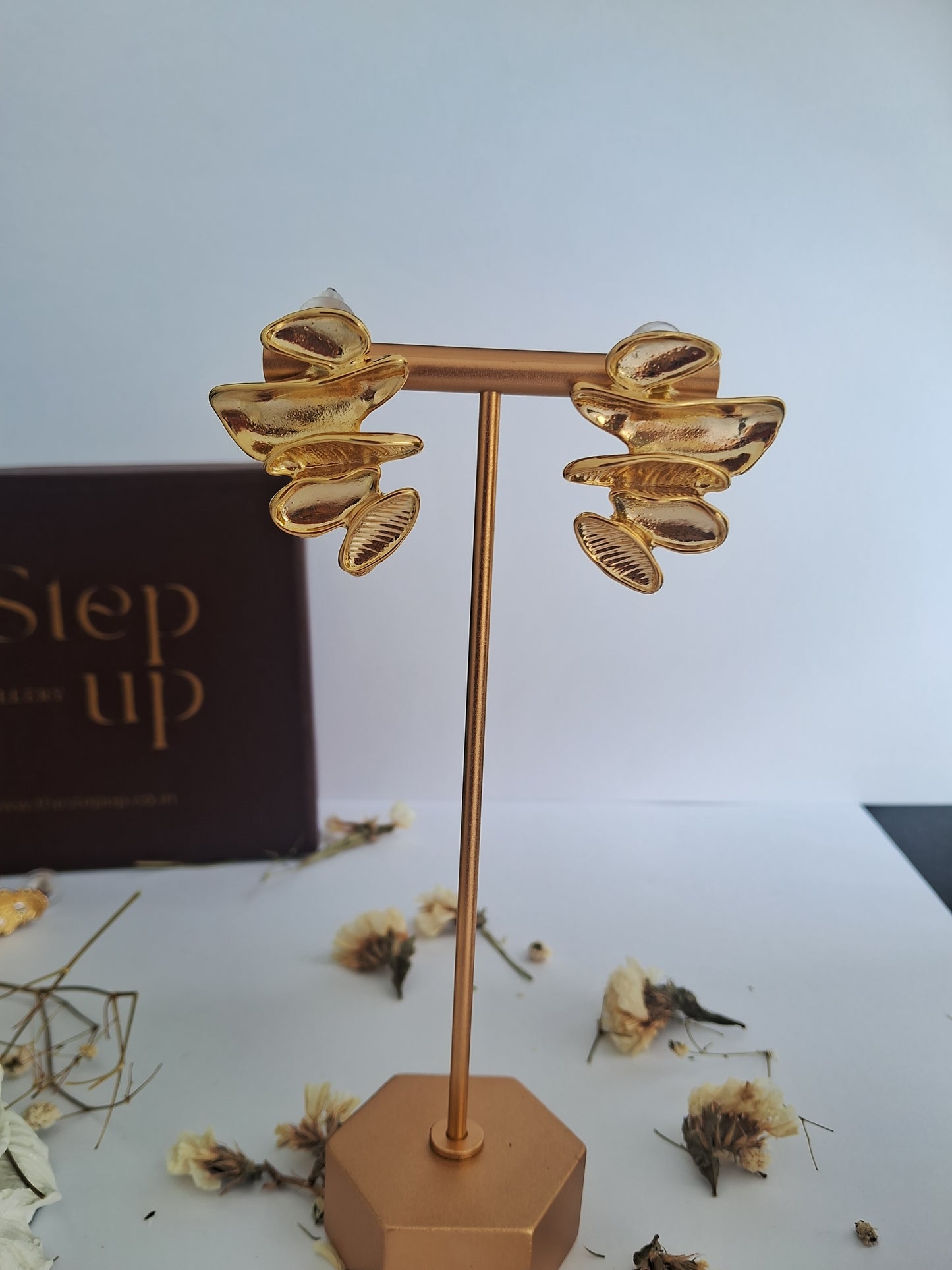 Dreamy earrings-Step - Up