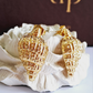 Conch Earrings-Step - Up
