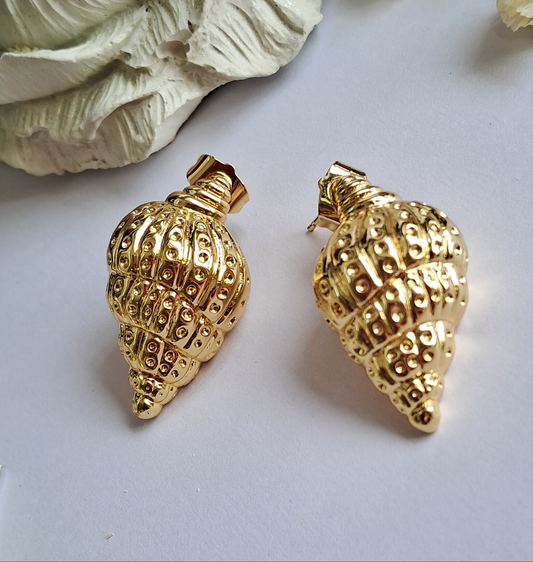 Conch Earrings-Step - Up