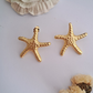 Starlet Earrings-Step - Up