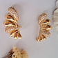 Zeya Earrings-Step - Up