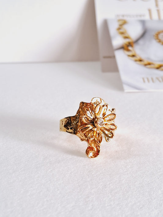 Ilan Ring