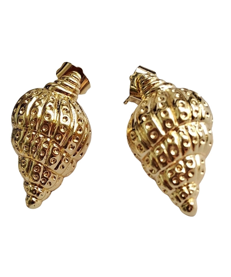 Conch Earrings-Step - Up