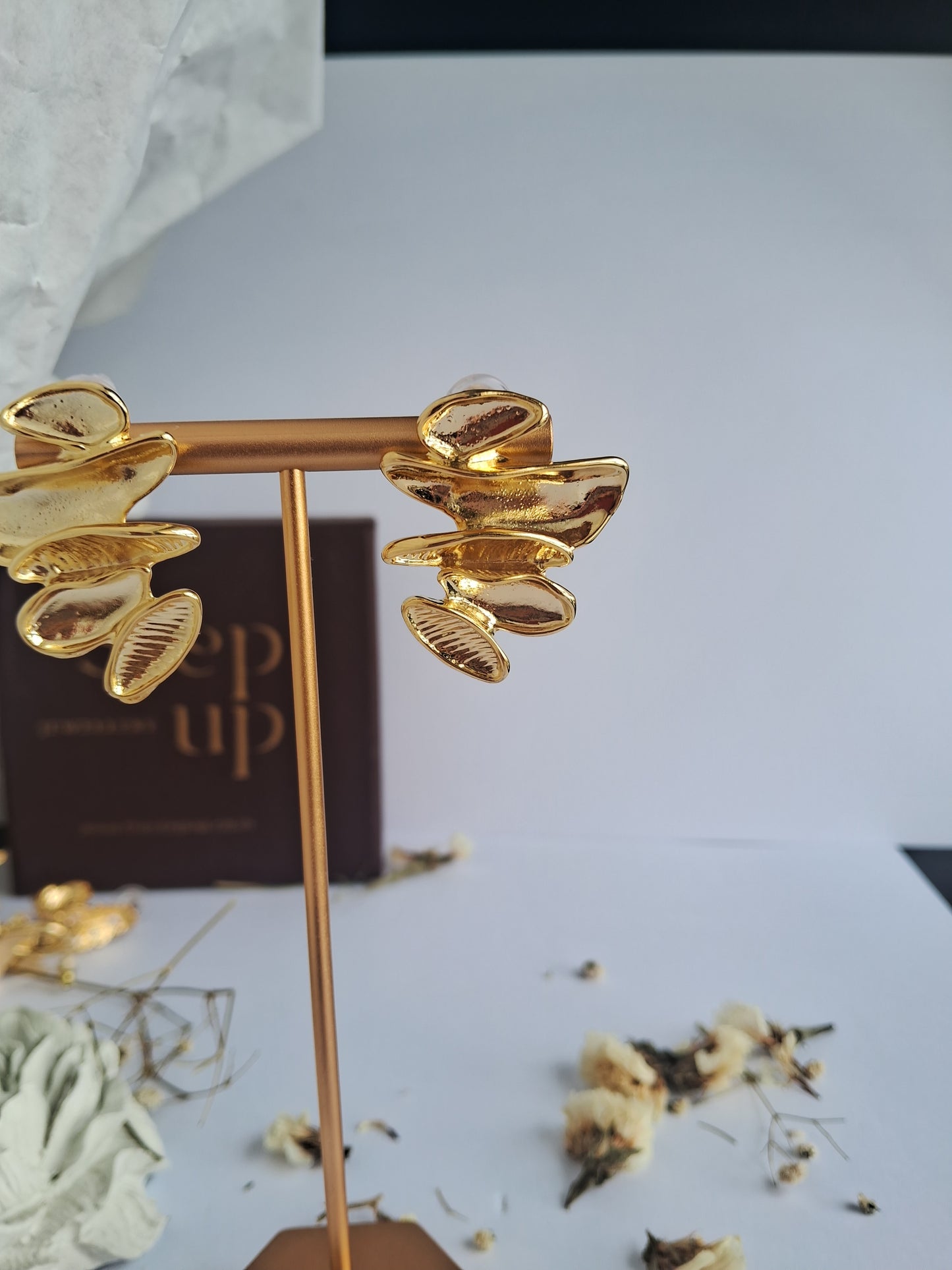 Dreamy earrings-Step - Up