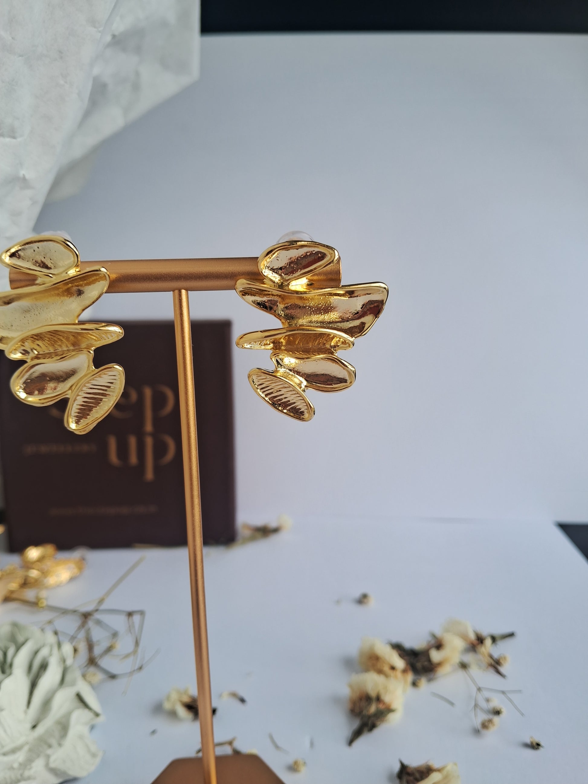 Dreamy earrings-Step - Up